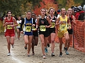 2010CIF XC GD4-0732